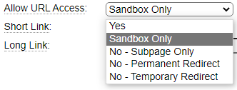 Only allow page execution within the sandbox or development environment Only allow page execution within the sandbox or development environment